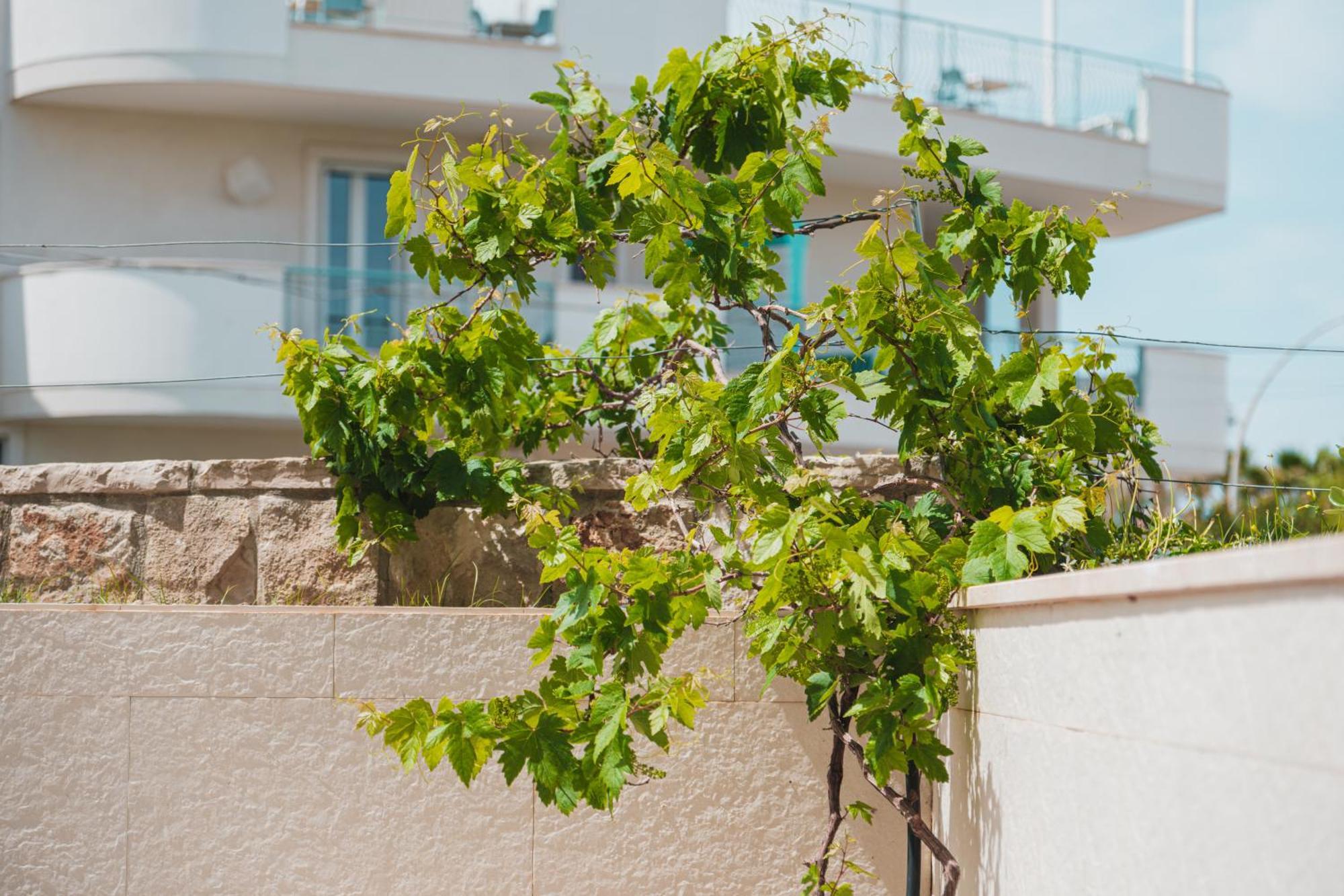 Apartament La Casa Di Dodo Polignano a Mare Zewnętrze zdjęcie
